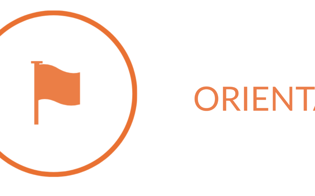 ERPsim Facilitator:  Orientation